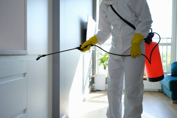 Best Commercial Mold Remediation in Crowley, LA