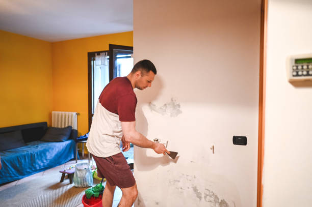Professional Mold Remediation in Crowley, LA