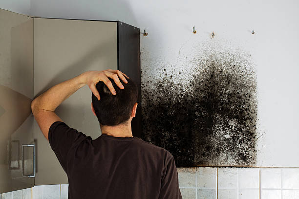  Crowley, LA Mold Removal Pros